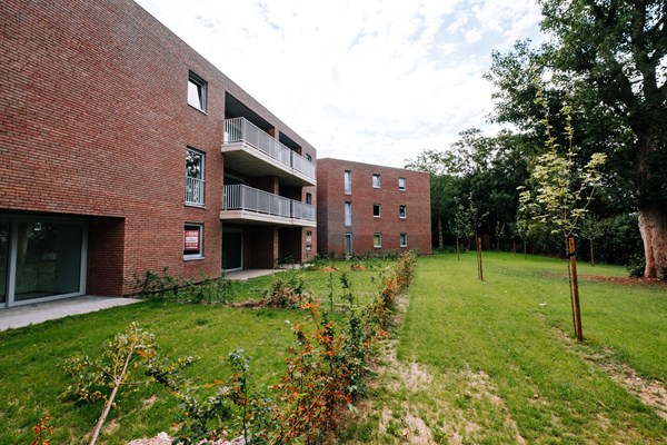 @alessandrovolders - Chênée-1-light.jpg