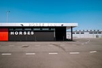 @alessandrovolders - ECM Engineering Horse Bierset-5.jpg