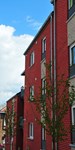Slgh-grande-campagne-2.jpg